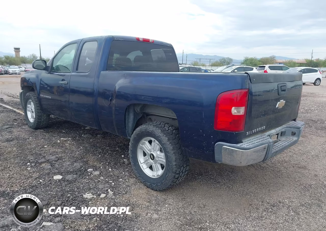 2009 Chevrolet Silverado 1500 Work Truck VIN:1GCEC19CX9Z154241 - 3