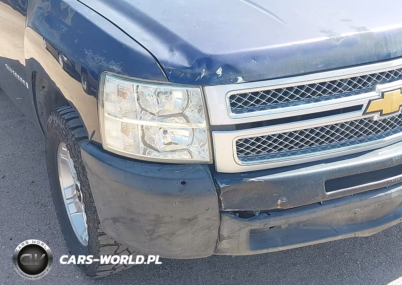 2009 Chevrolet Silverado 1500 Work Truck VIN:1GCEC19CX9Z154241 - 6