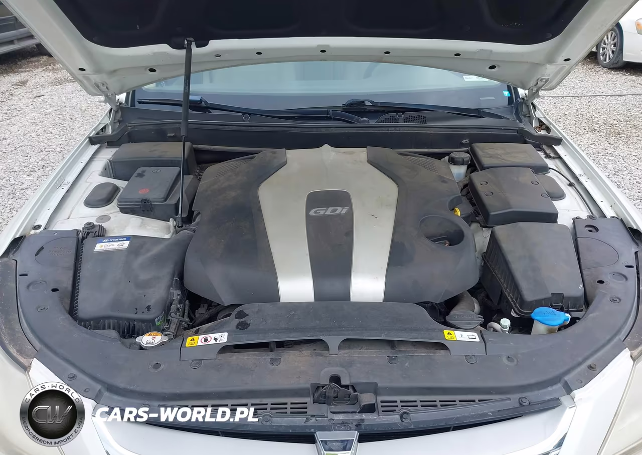 2013 Hyundai Genesis 3.8 VIN:KMHGC4DD2DU228036 - 10