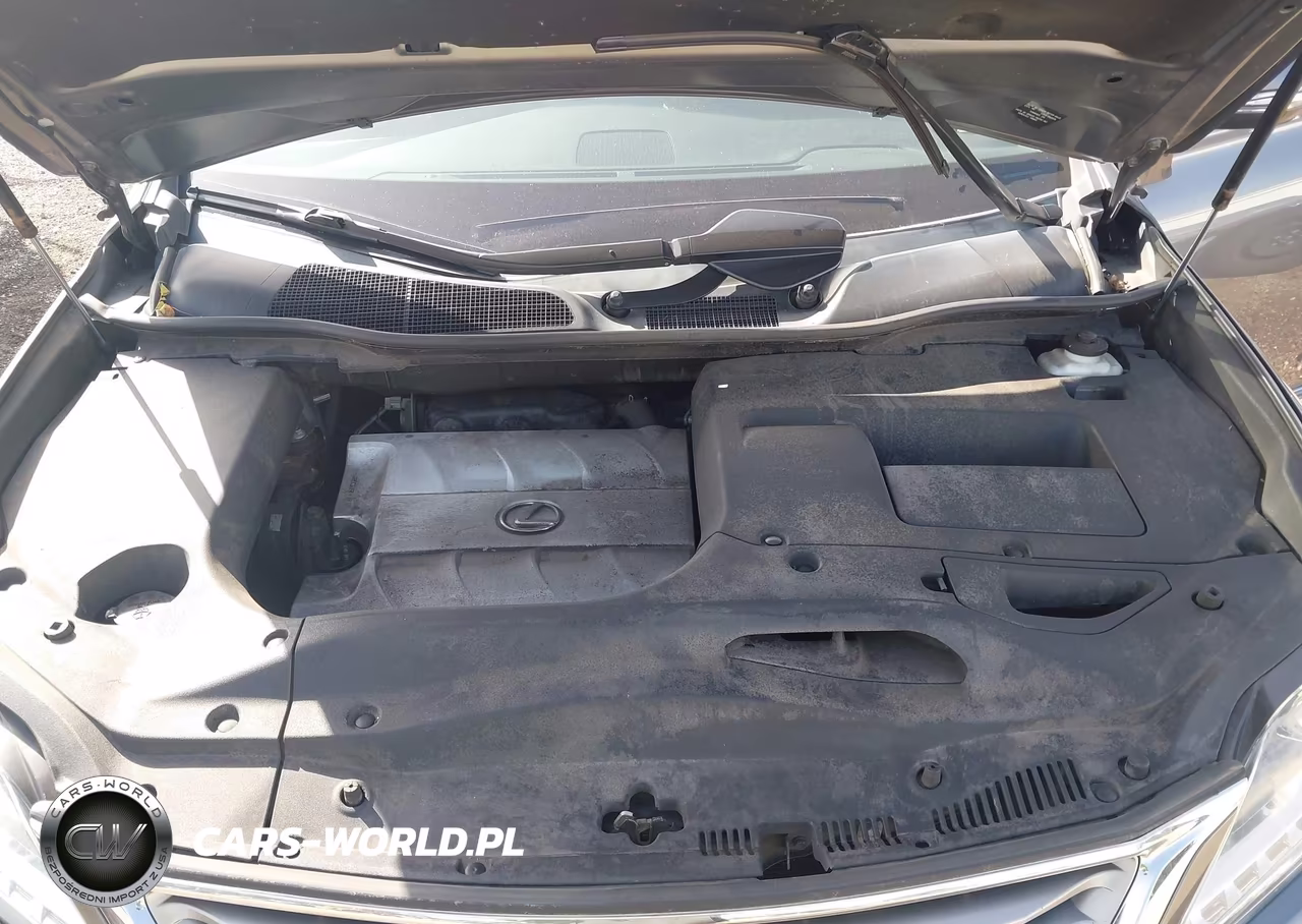 2013 Lexus Rx 350 VIN:2T2BK1BA9DC198244 - 10