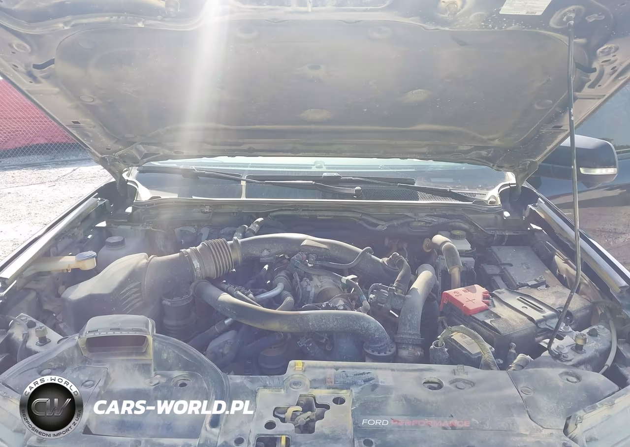 2024 Ford Ranger Raptor VIN:1FTER4LR8RLE06892 - 10
