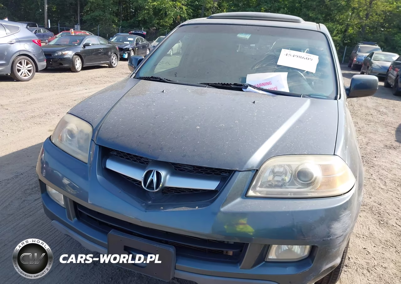 2006 Acura Mdx VIN:2HNYD18276H525445 - 10