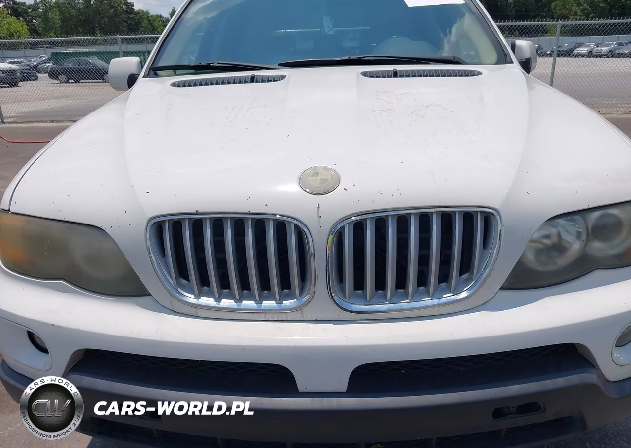 2004 BMW X5 3.0I VIN:5UXFA13534LU44559 - 10