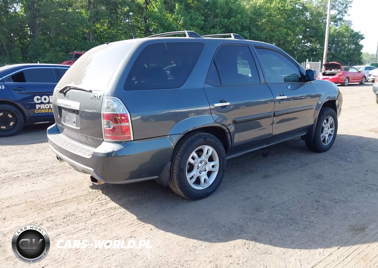2005 Acura Mdx VIN:2HNYD18925H520813 - 4