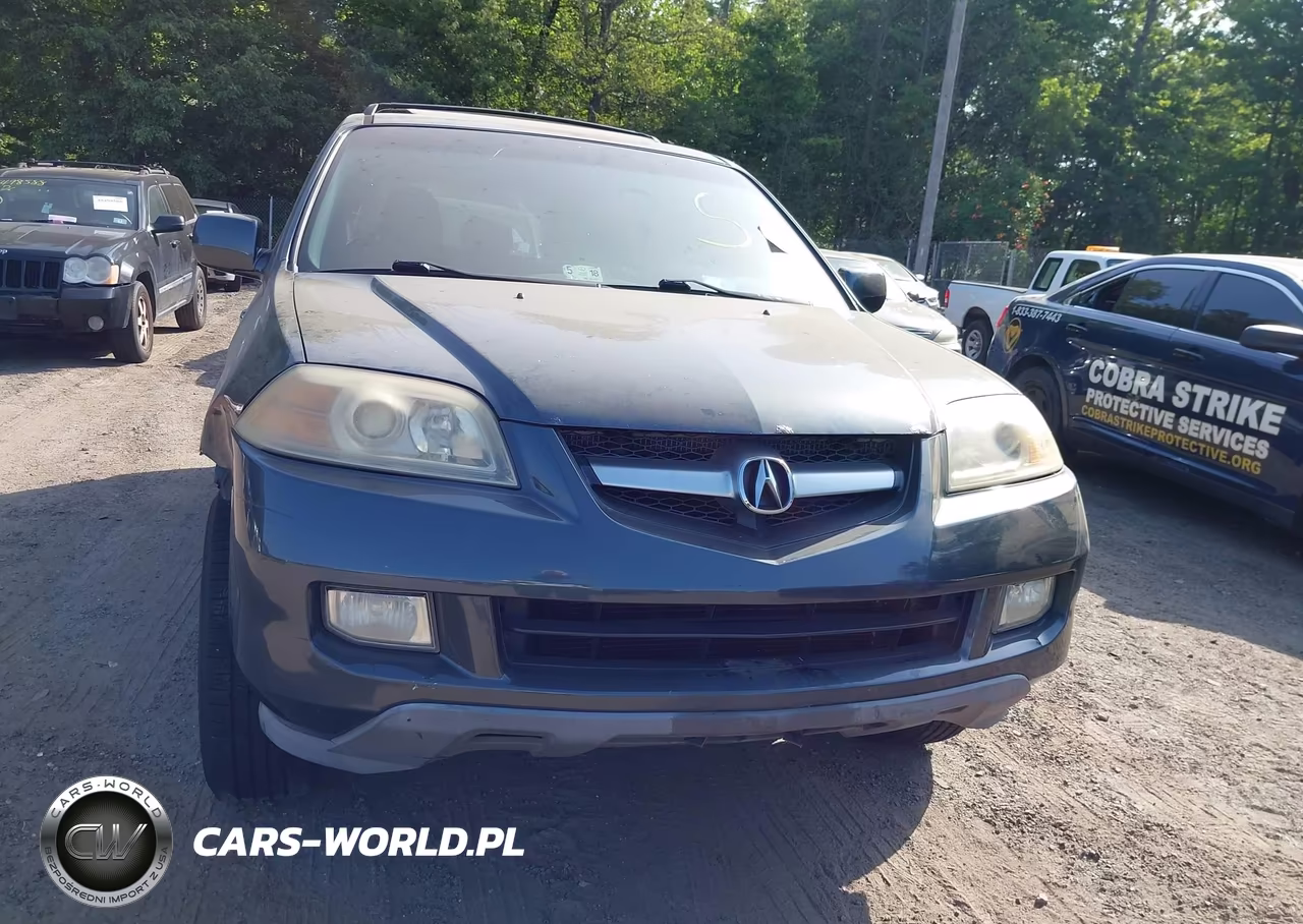 2005 Acura Mdx VIN:2HNYD18925H520813 - 6