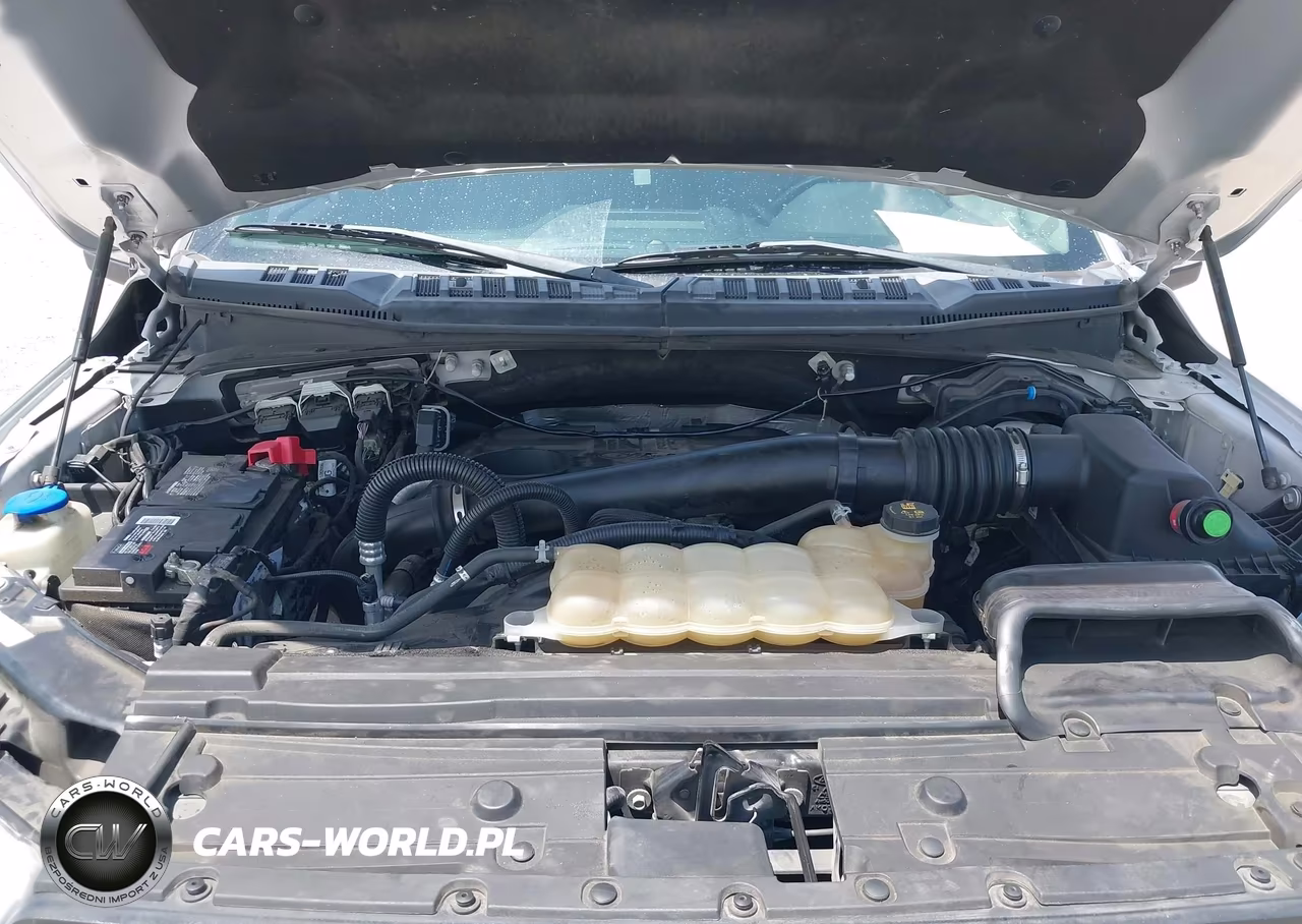 2019 Ford F-150 Xlt VIN:1FTFW1E13KFC64331 - 10