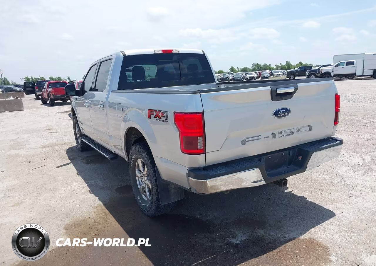 2019 Ford F-150 Xlt VIN:1FTFW1E13KFC64331 - 3