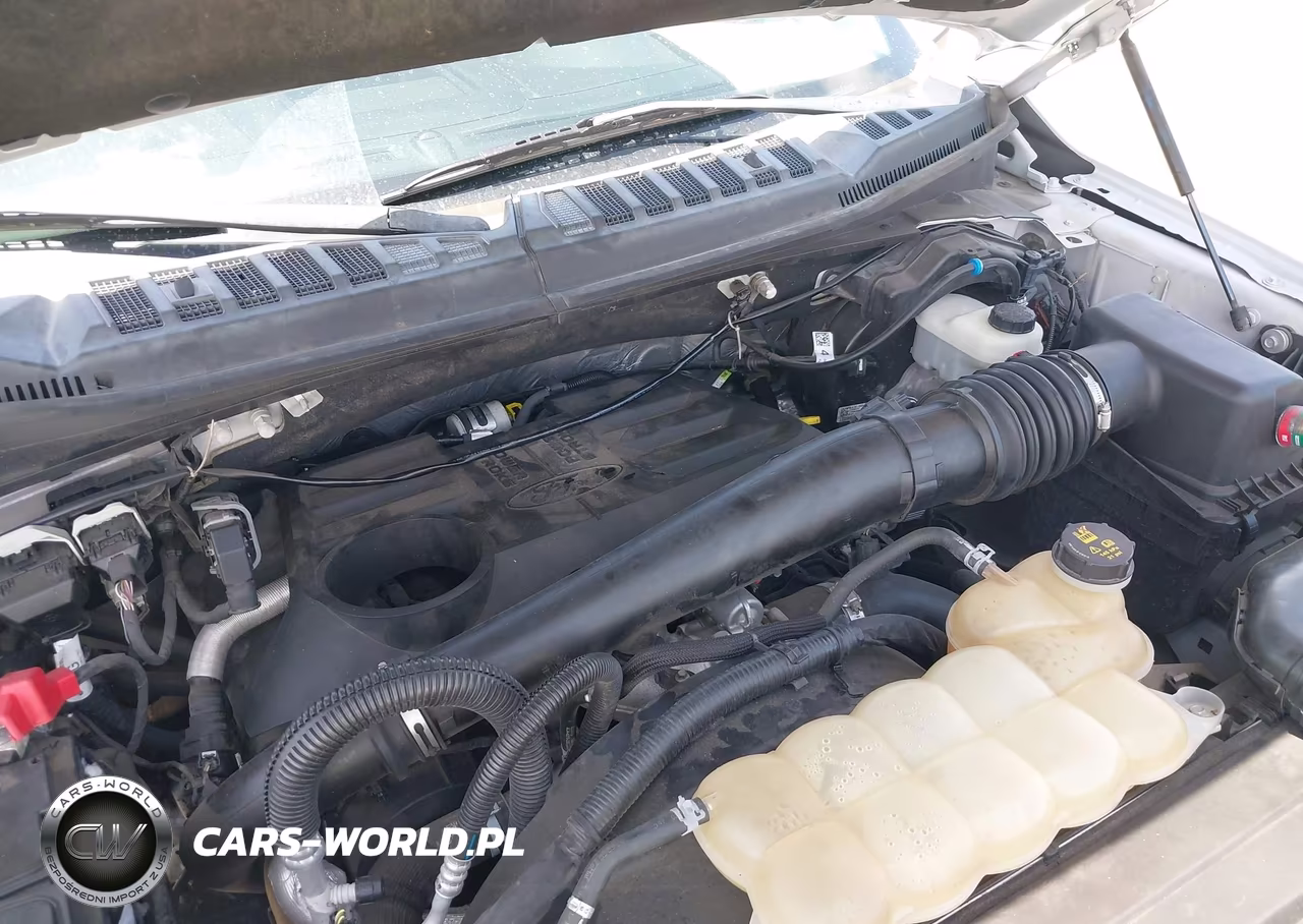 2019 Ford F-150 Xlt VIN:1FTFW1E13KFC64331 - 6
