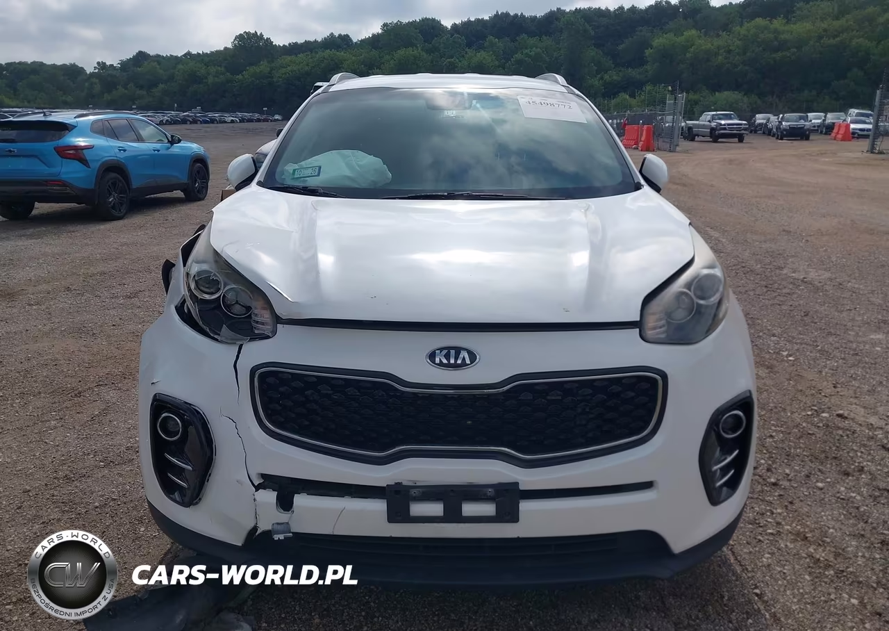 2019 Kia Sportage Ex VIN:KNDPN3AC7K7543978 - 12