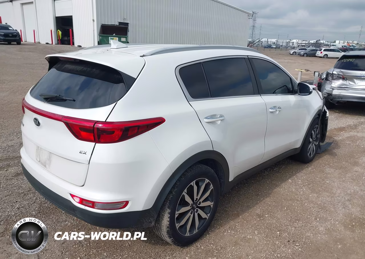 2019 Kia Sportage Ex VIN:KNDPN3AC7K7543978 - 4