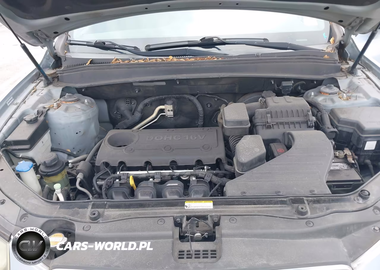 2010 Hyundai Santa Fe Gls VIN:5NMSG3AB9AH414594 - 10