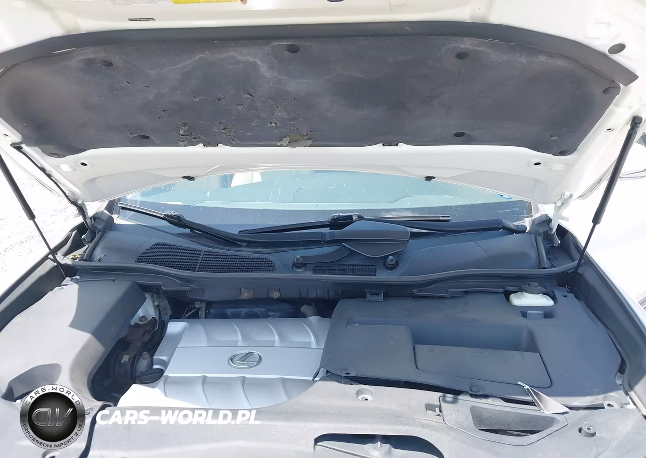 2010 Lexus Rx 350 VIN:2T2BK1BA6AC006807 - 10