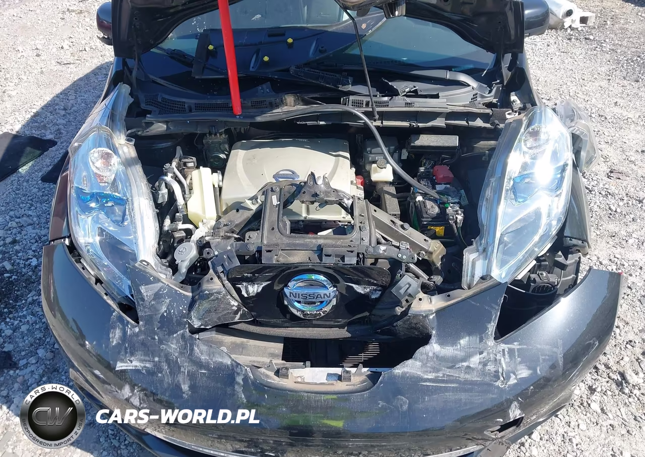 2015 Nissan Leaf Sl VIN:1N4AZ0CP7FC331111 - 10