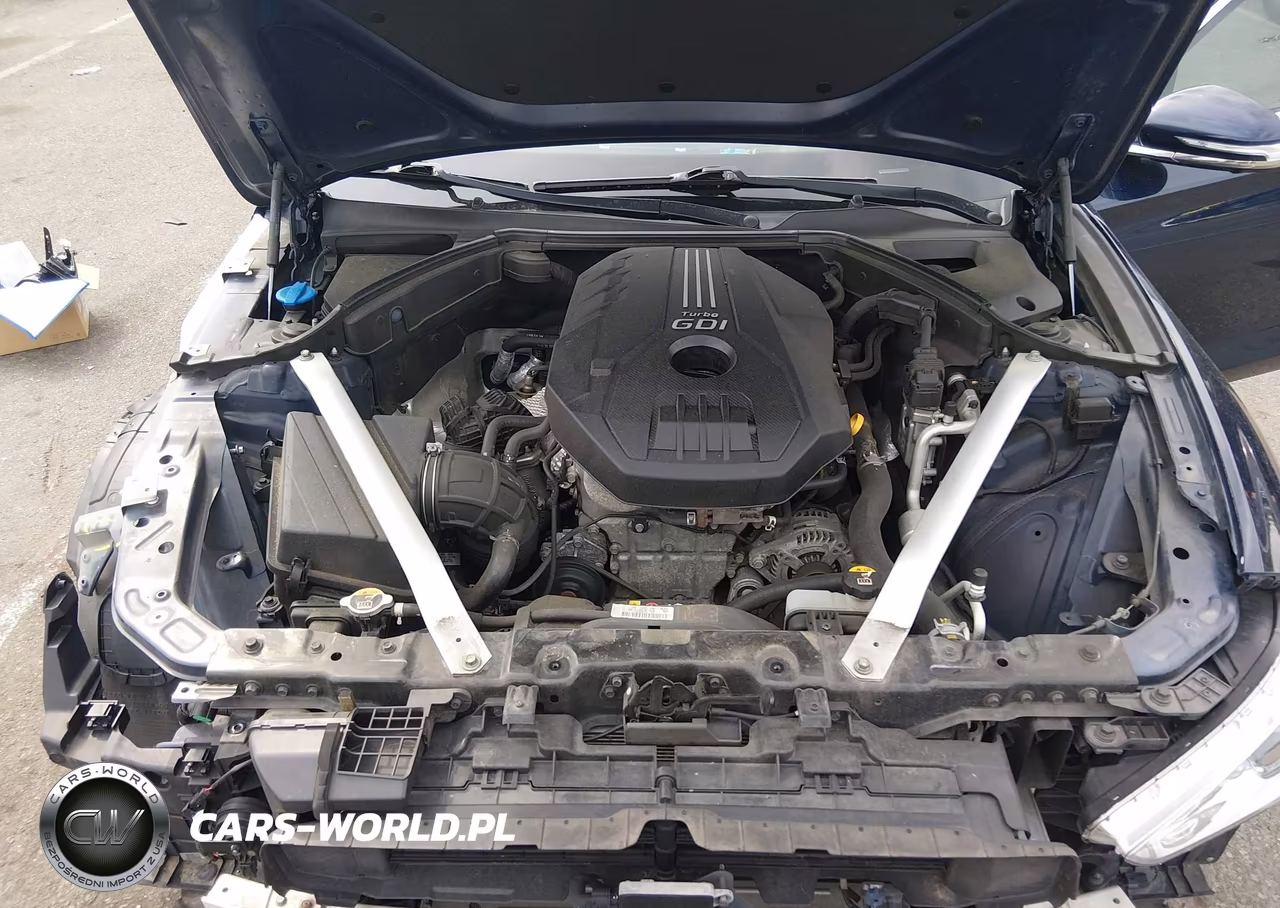 2019 Genesis G70 2.0T Advanced VIN:KMTG44LA9KU013003 - 10