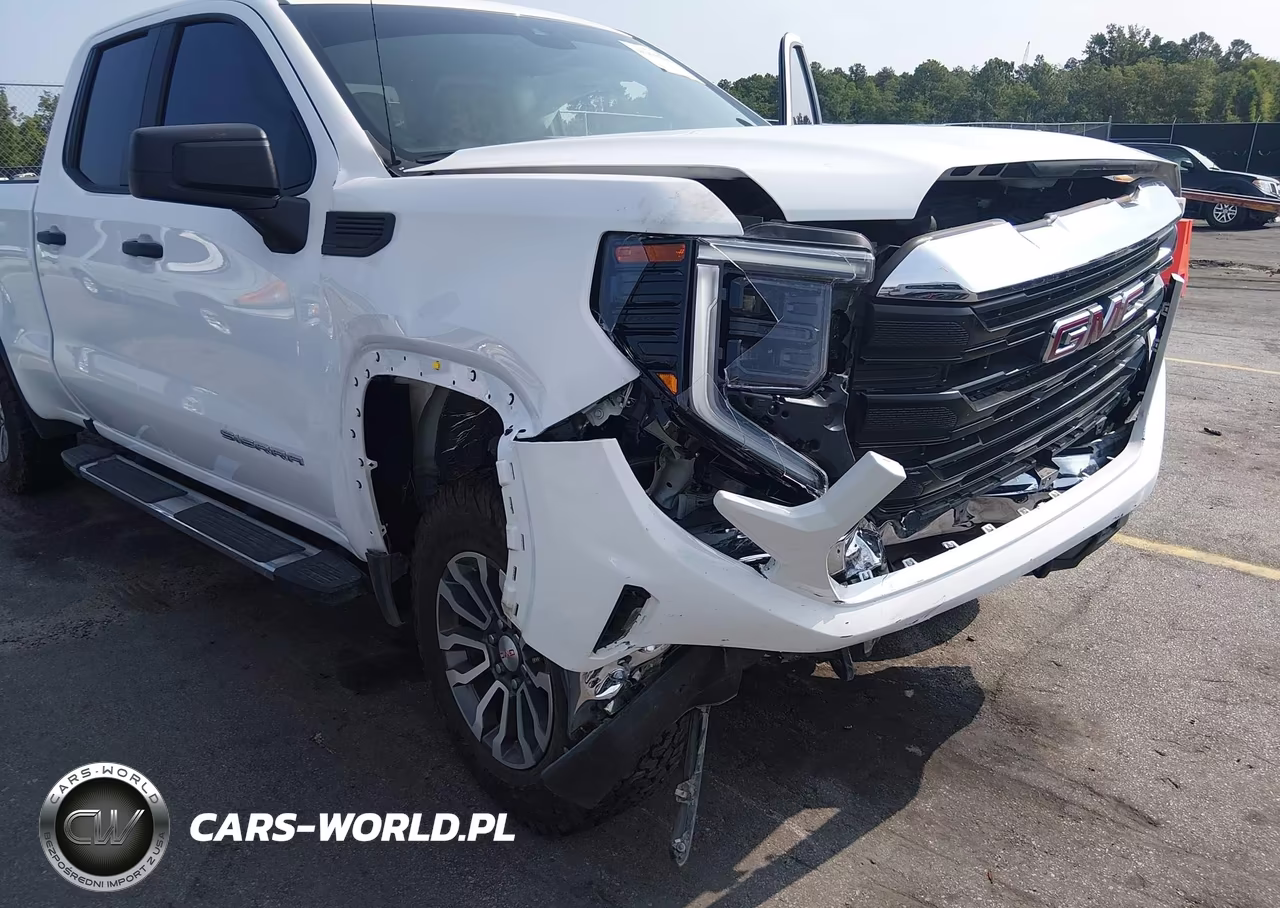 2023 GMC Sierra 1500 4Wd Standard Box Pro VIN:1GTRUAEDXPZ332739 - 18