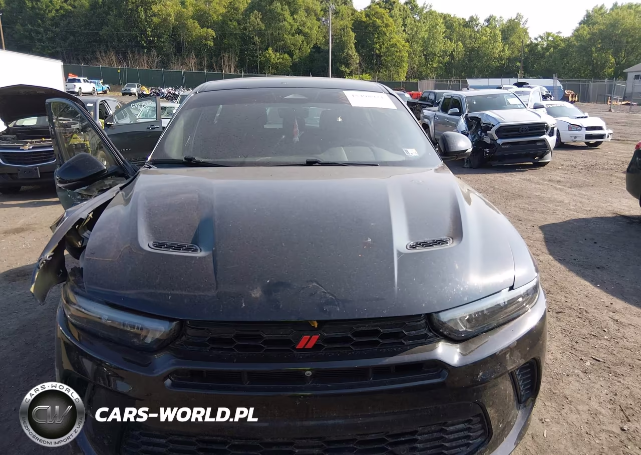 2023 Dodge Hornet Gt Awd VIN:ZACNDFAN6P3A00815 - 12