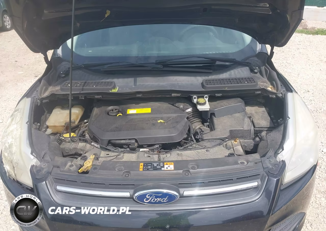 2016 Ford Escape Se VIN:1FMCU9GX0GUA13774 - 10