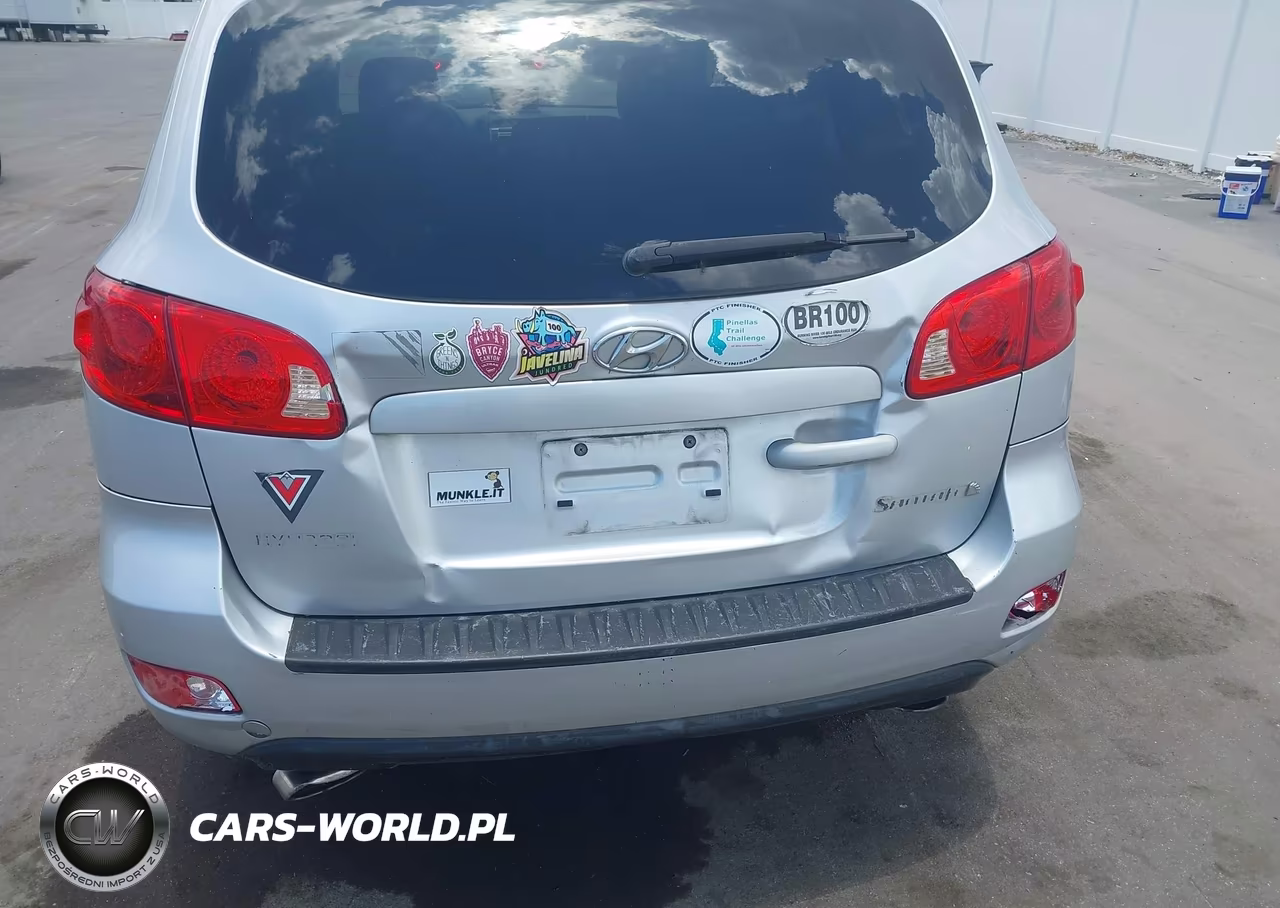 2007 Hyundai Santa Fe Gls VIN:5NMSG13D07H051677 - 6