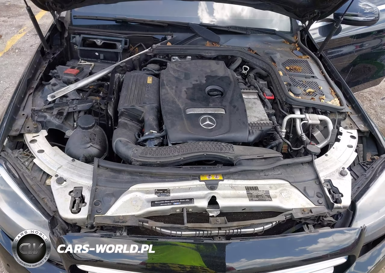 2015 Mercedes-Benz C 300 4Matic VIN:55SWF4KB1FU004677 - 10