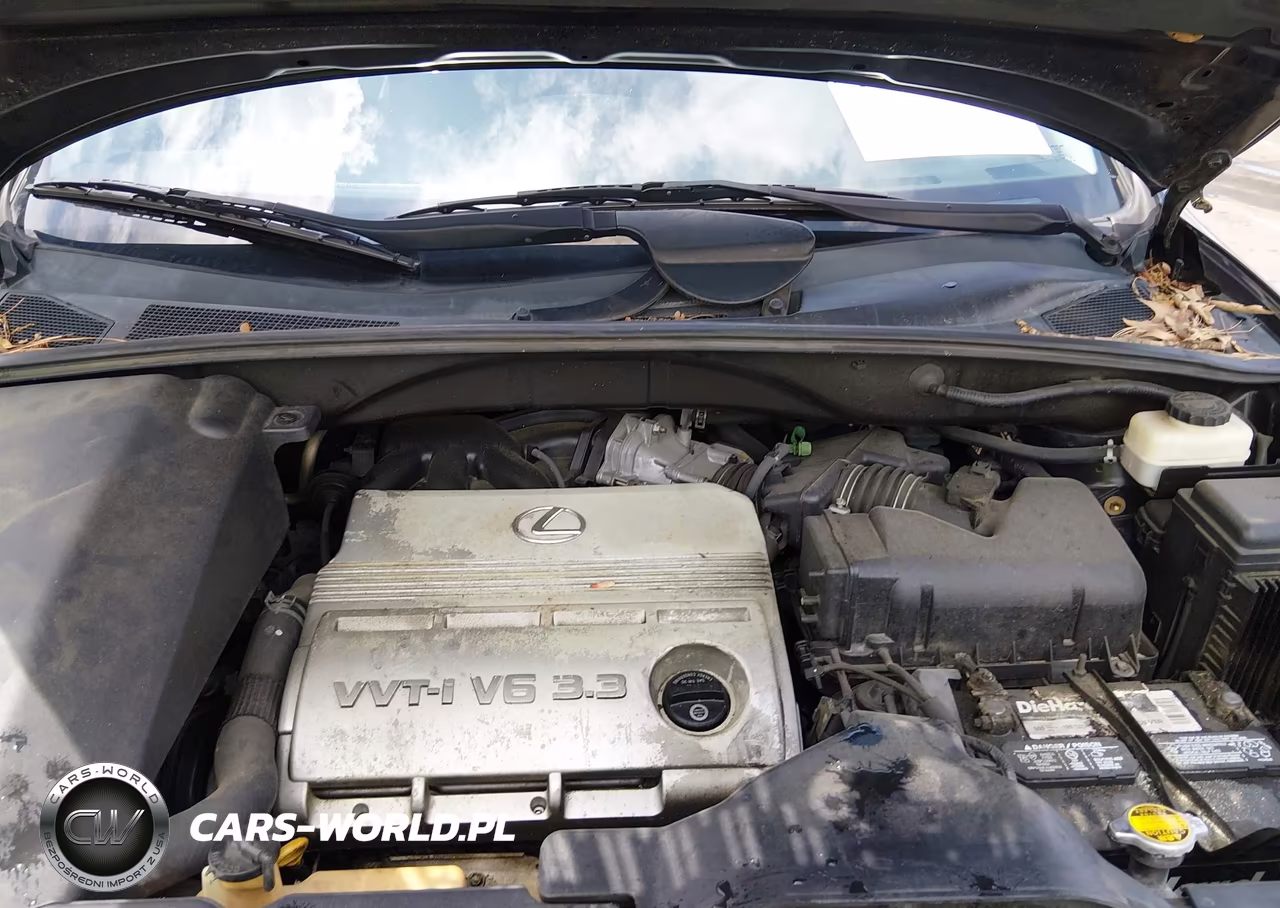 2004 Lexus Rx 330 VIN:2T2GA31U84C017053 - 10