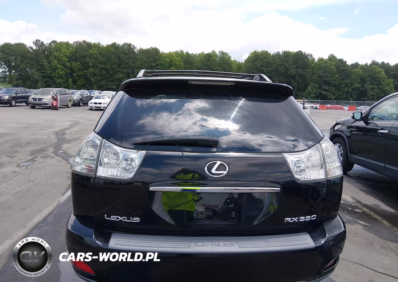2004 Lexus Rx 330 VIN:2T2GA31U84C017053 - 16