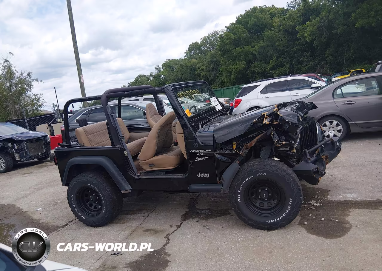 1999 Jeep Wrangler Sport VIN:1J4FY19S9XP465191 - 12