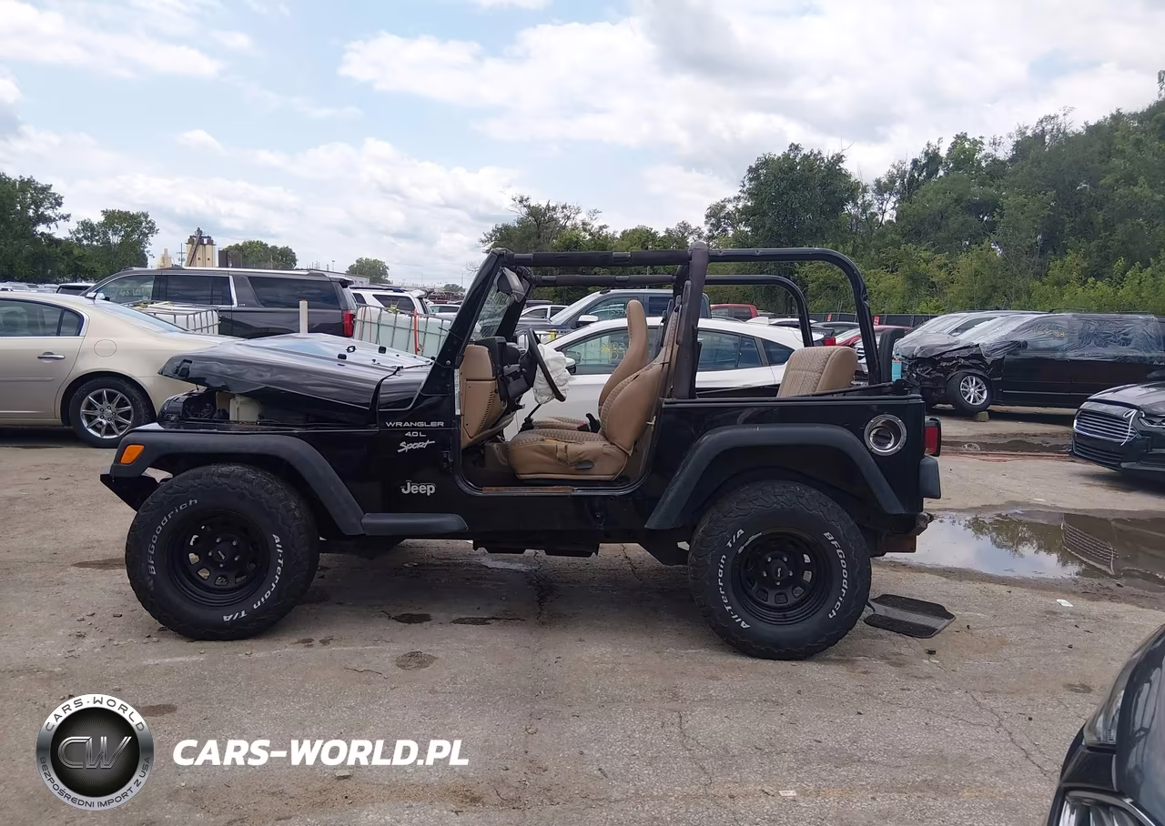 1999 Jeep Wrangler Sport VIN:1J4FY19S9XP465191 - 13