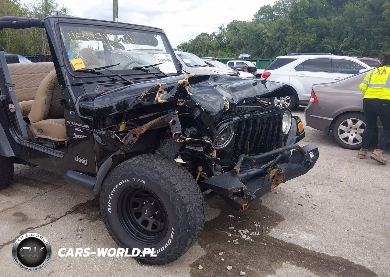 1999 Jeep Wrangler Sport VIN:1J4FY19S9XP465191 - 16