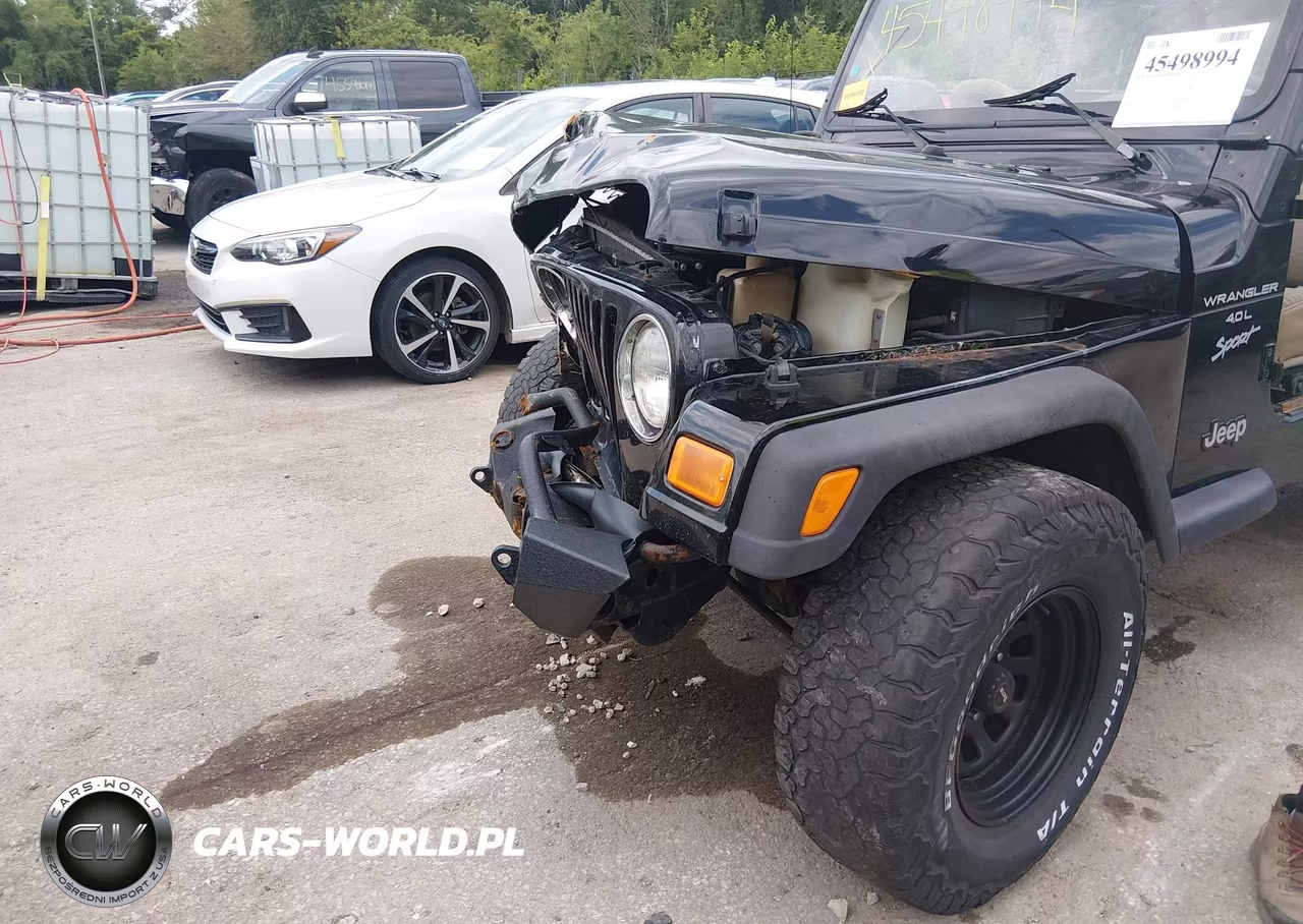 1999 Jeep Wrangler Sport VIN:1J4FY19S9XP465191 - 17