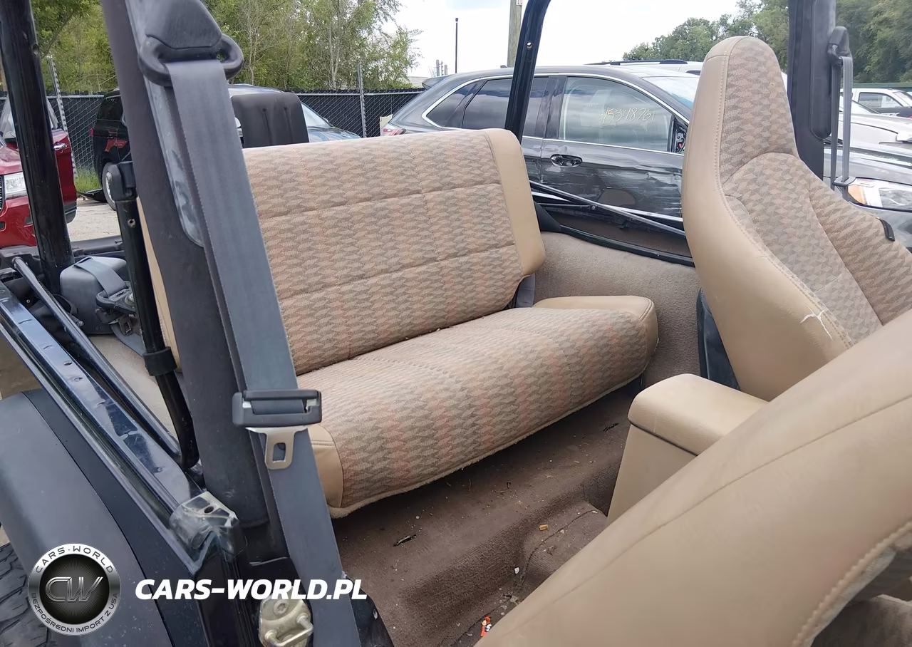 1999 Jeep Wrangler Sport VIN:1J4FY19S9XP465191 - 8