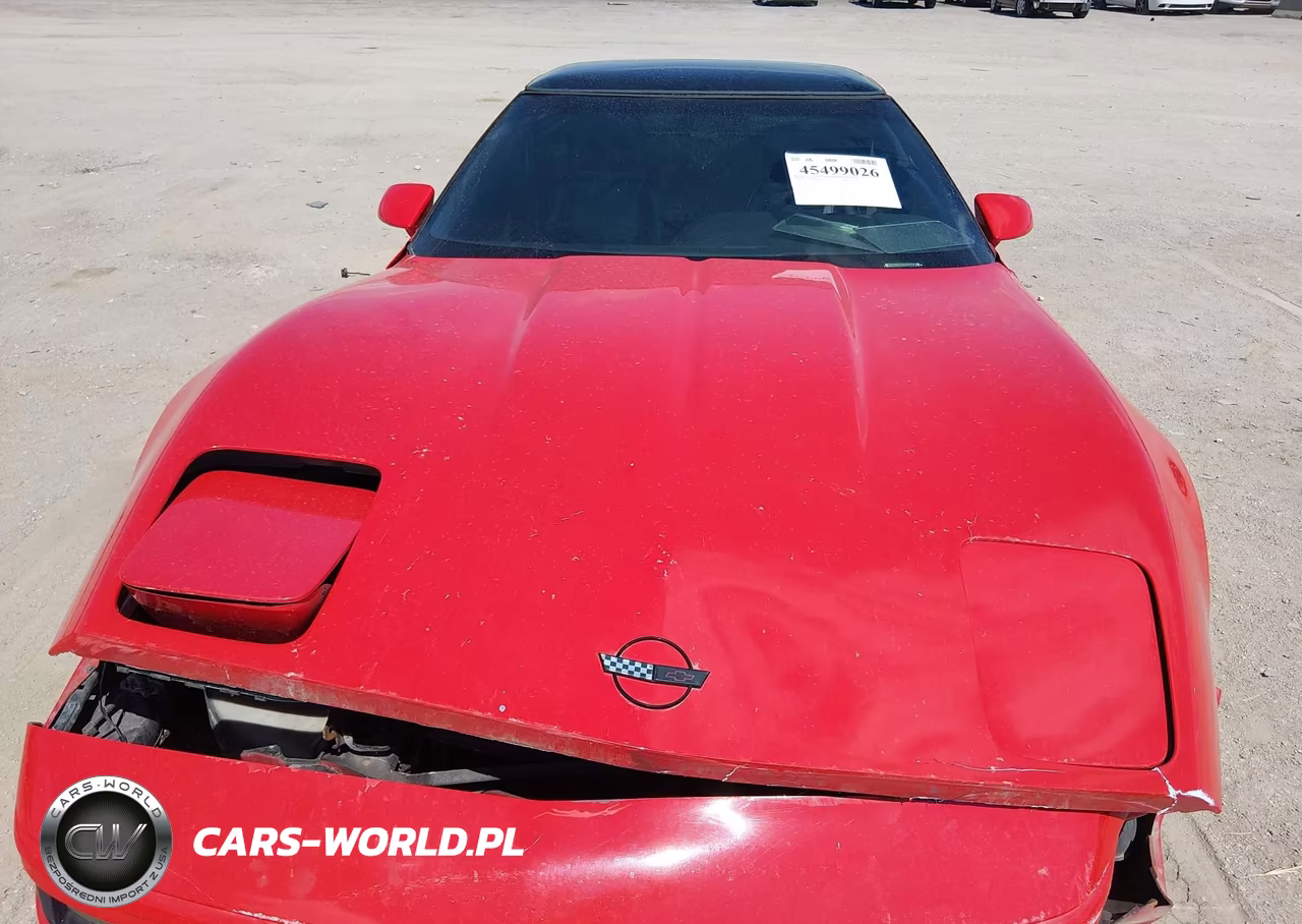 1993 Chevrolet Corvette VIN:1G1YY23P5P5115313 - 10