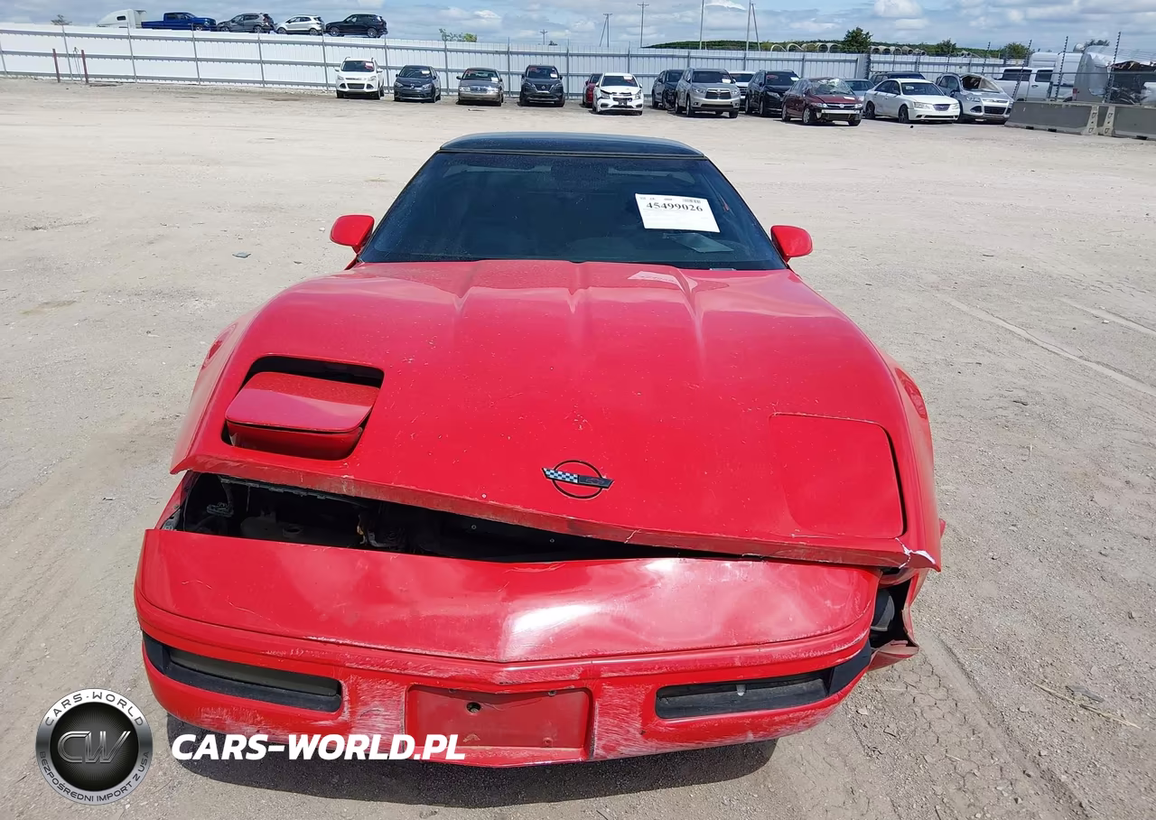 1993 Chevrolet Corvette VIN:1G1YY23P5P5115313 - 12