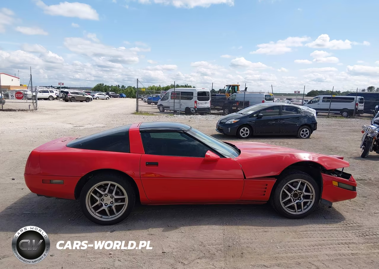 1993 Chevrolet Corvette VIN:1G1YY23P5P5115313 - 13