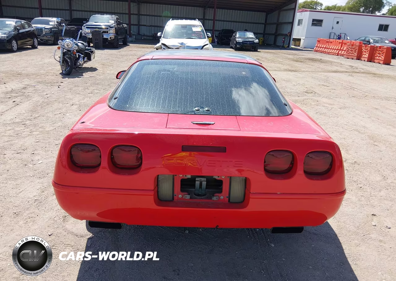 1993 Chevrolet Corvette VIN:1G1YY23P5P5115313 - 16