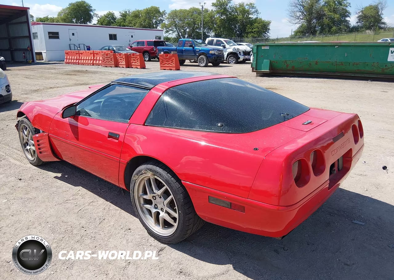 1993 Chevrolet Corvette VIN:1G1YY23P5P5115313 - 3