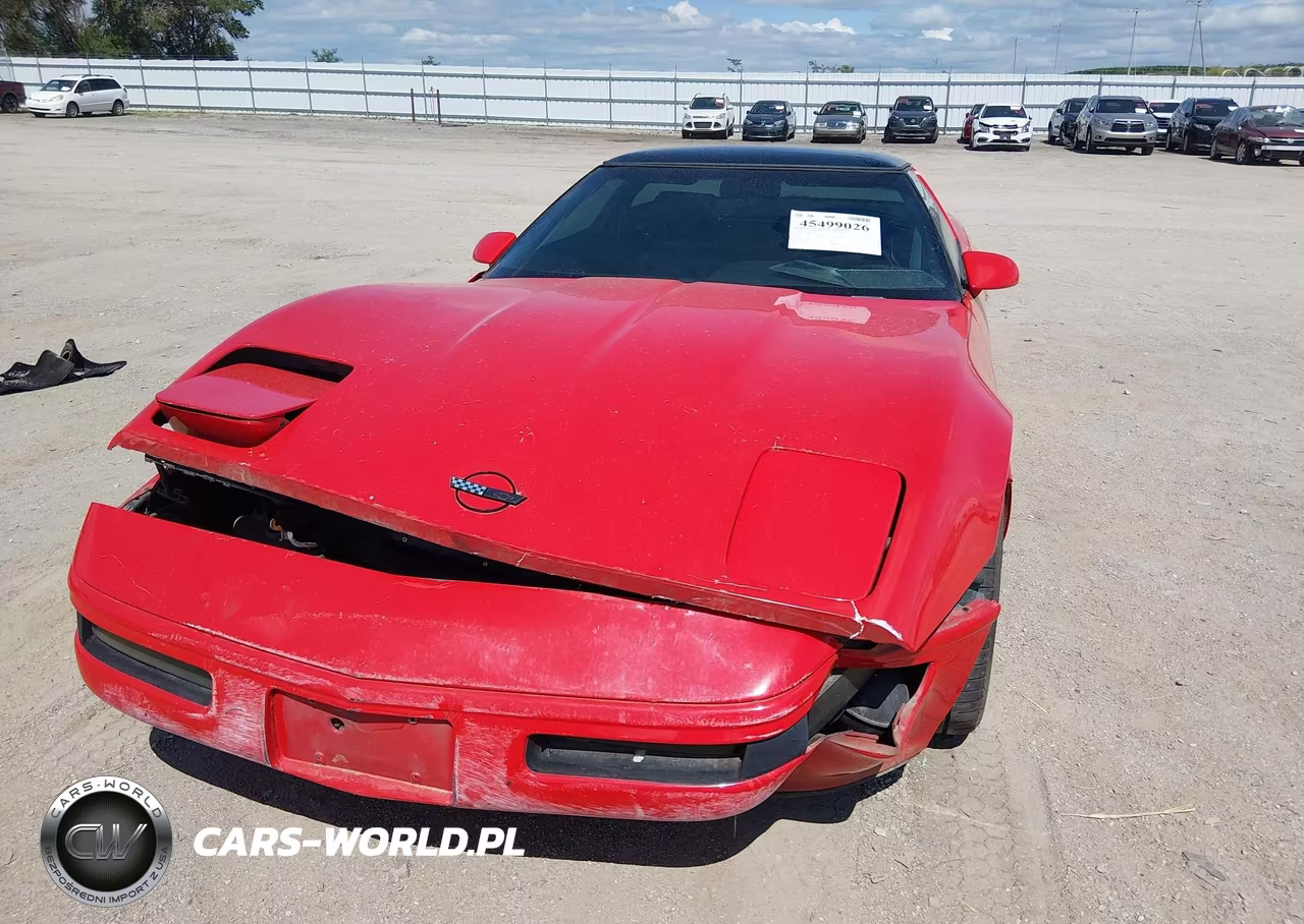 1993 Chevrolet Corvette VIN:1G1YY23P5P5115313 - 6