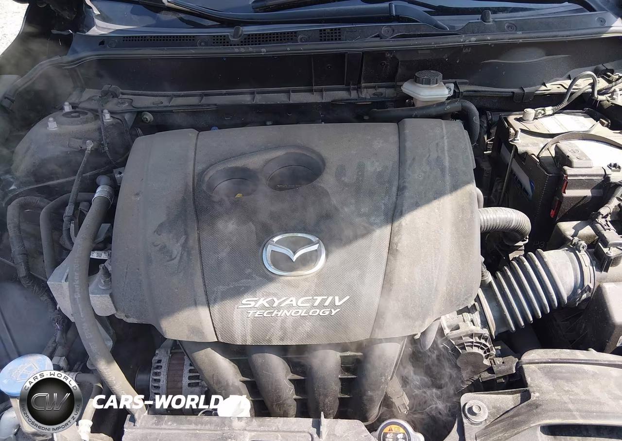 2018 Mazda Cx-3 Touring VIN:JM1DKDC70J0300196 - 10