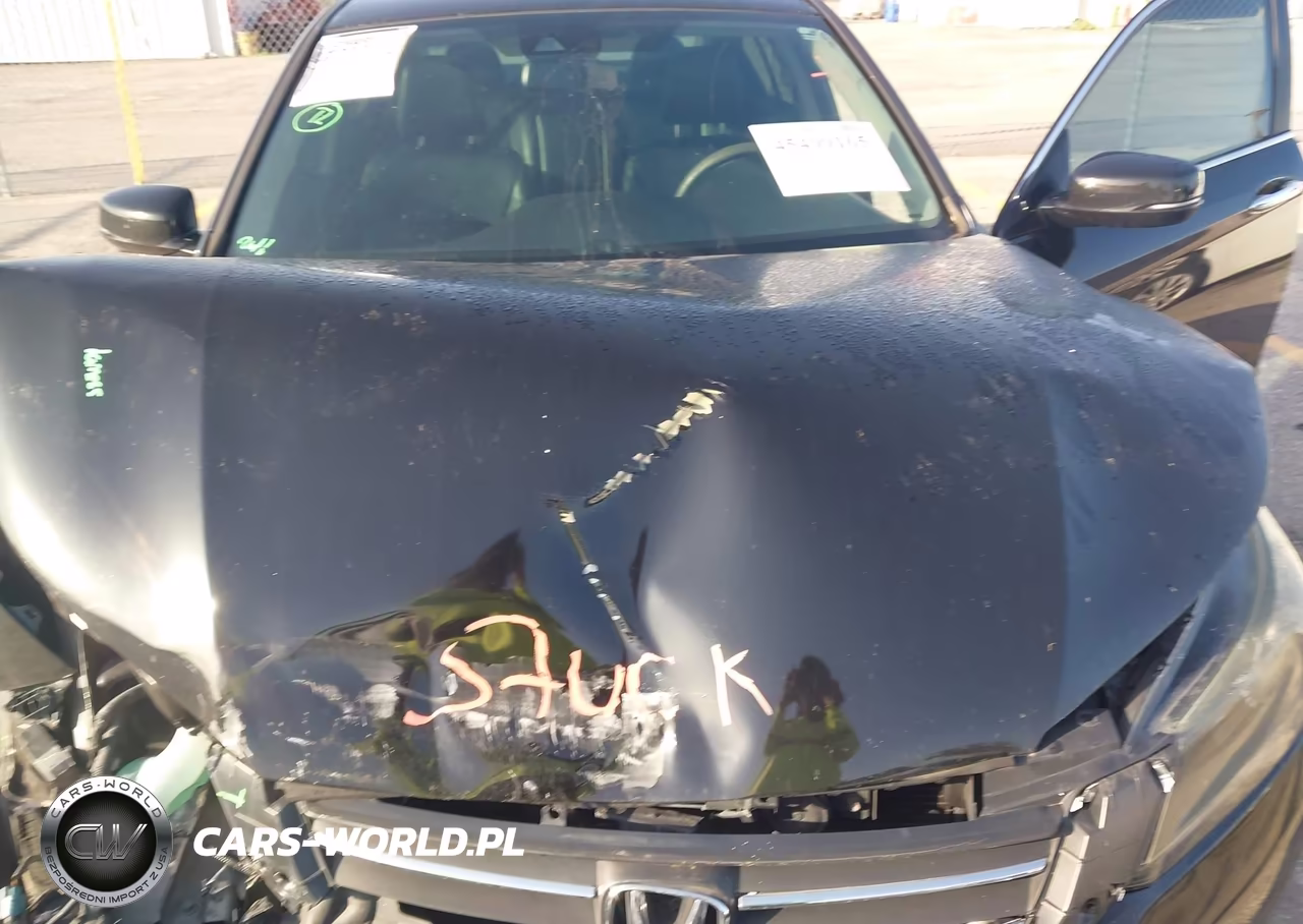 2014 Honda Accord Ex-L VIN:1HGCR2F87EA306935 - 10