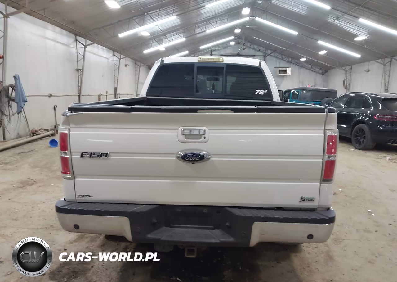 2010 Ford F-150 Fx4-Harley-Davidson-King Ranch-Lariat-Platinum-Xl-Xlt VIN:1FTFW1EV3AKE62805 - 16