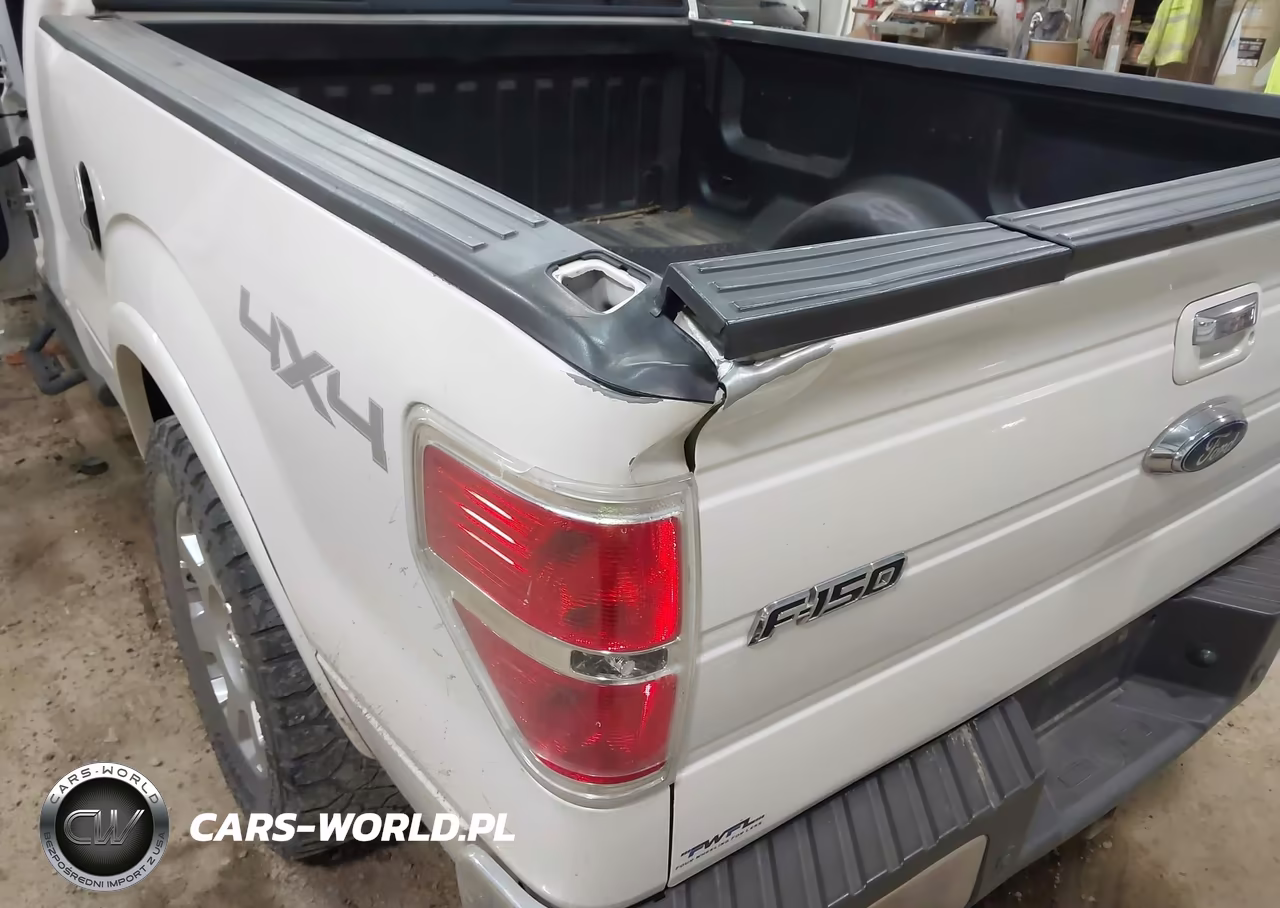 2010 Ford F-150 Fx4-Harley-Davidson-King Ranch-Lariat-Platinum-Xl-Xlt VIN:1FTFW1EV3AKE62805 - 18