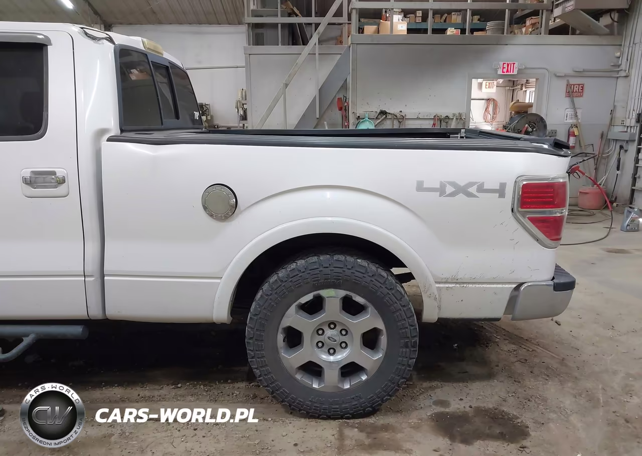 2010 Ford F-150 Fx4-Harley-Davidson-King Ranch-Lariat-Platinum-Xl-Xlt VIN:1FTFW1EV3AKE62805 - 20
