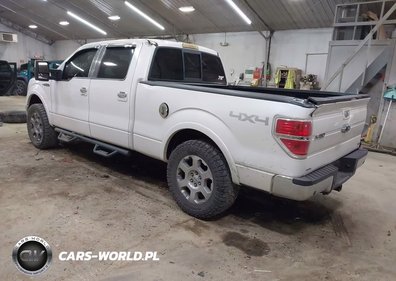 2010 Ford F-150 Fx4-Harley-Davidson-King Ranch-Lariat-Platinum-Xl-Xlt VIN:1FTFW1EV3AKE62805 - 3