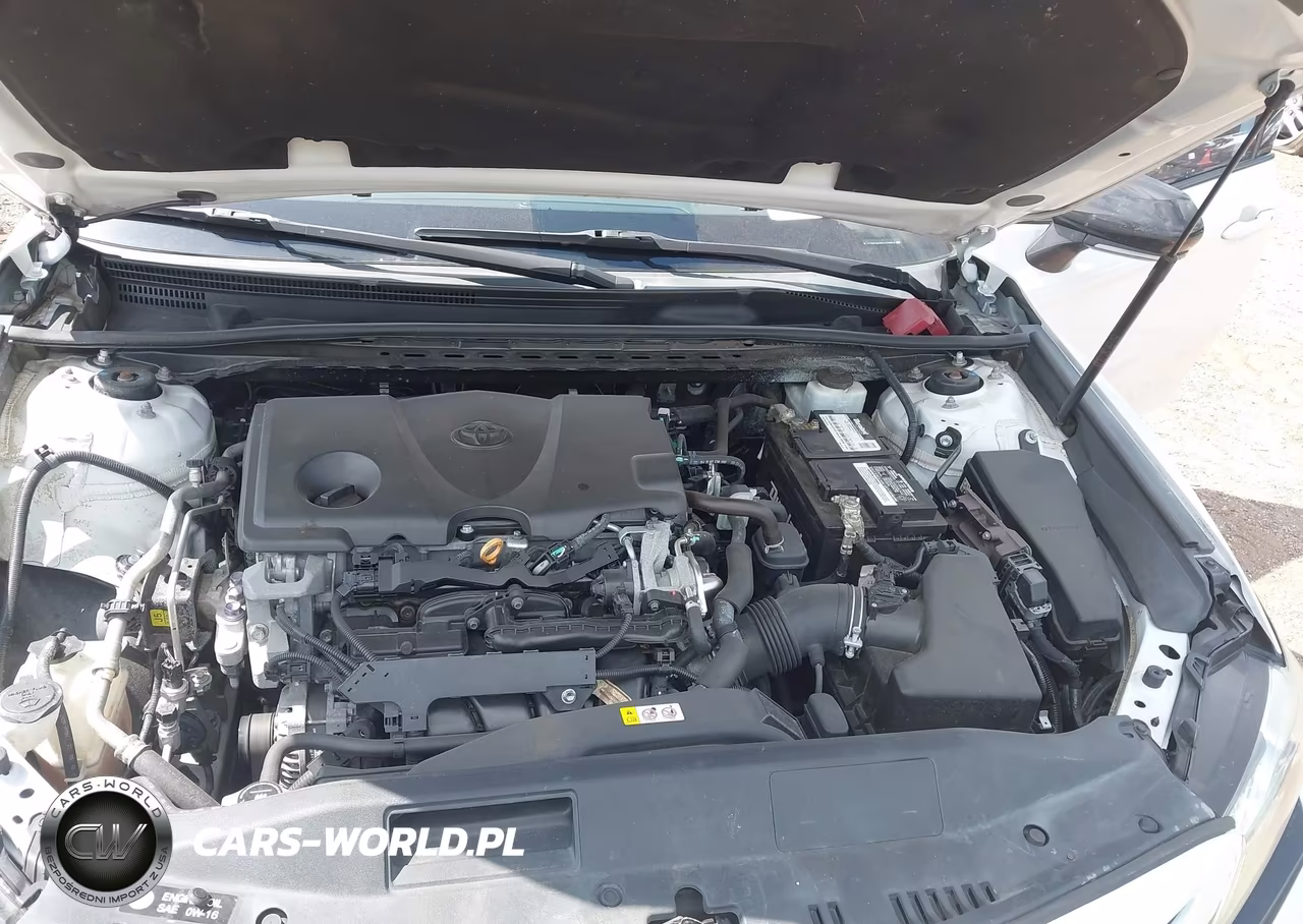 2019 Toyota Camry Xse VIN:4T1B61HK5KU173958 - 10