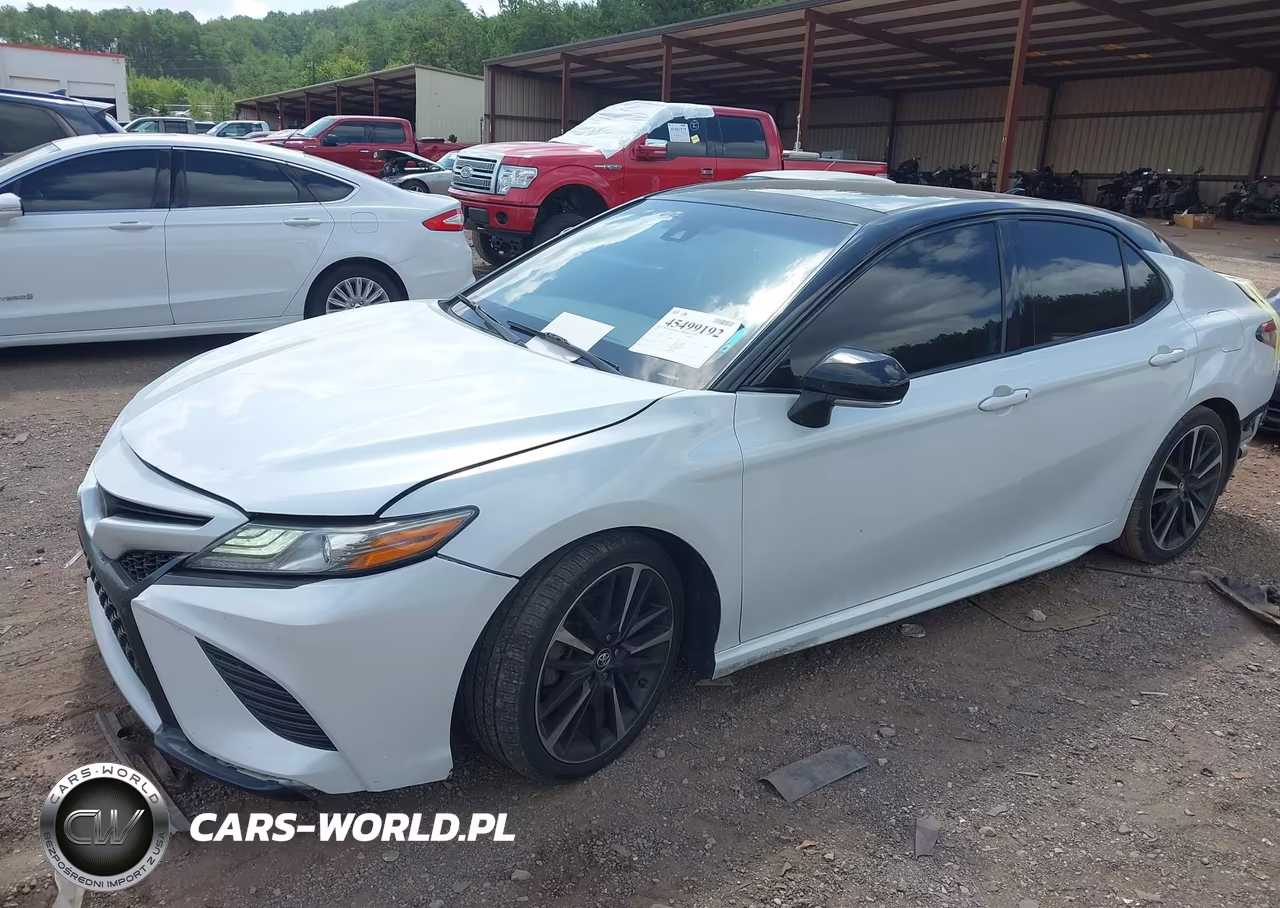 2019 Toyota Camry Xse VIN:4T1B61HK5KU173958 - 2