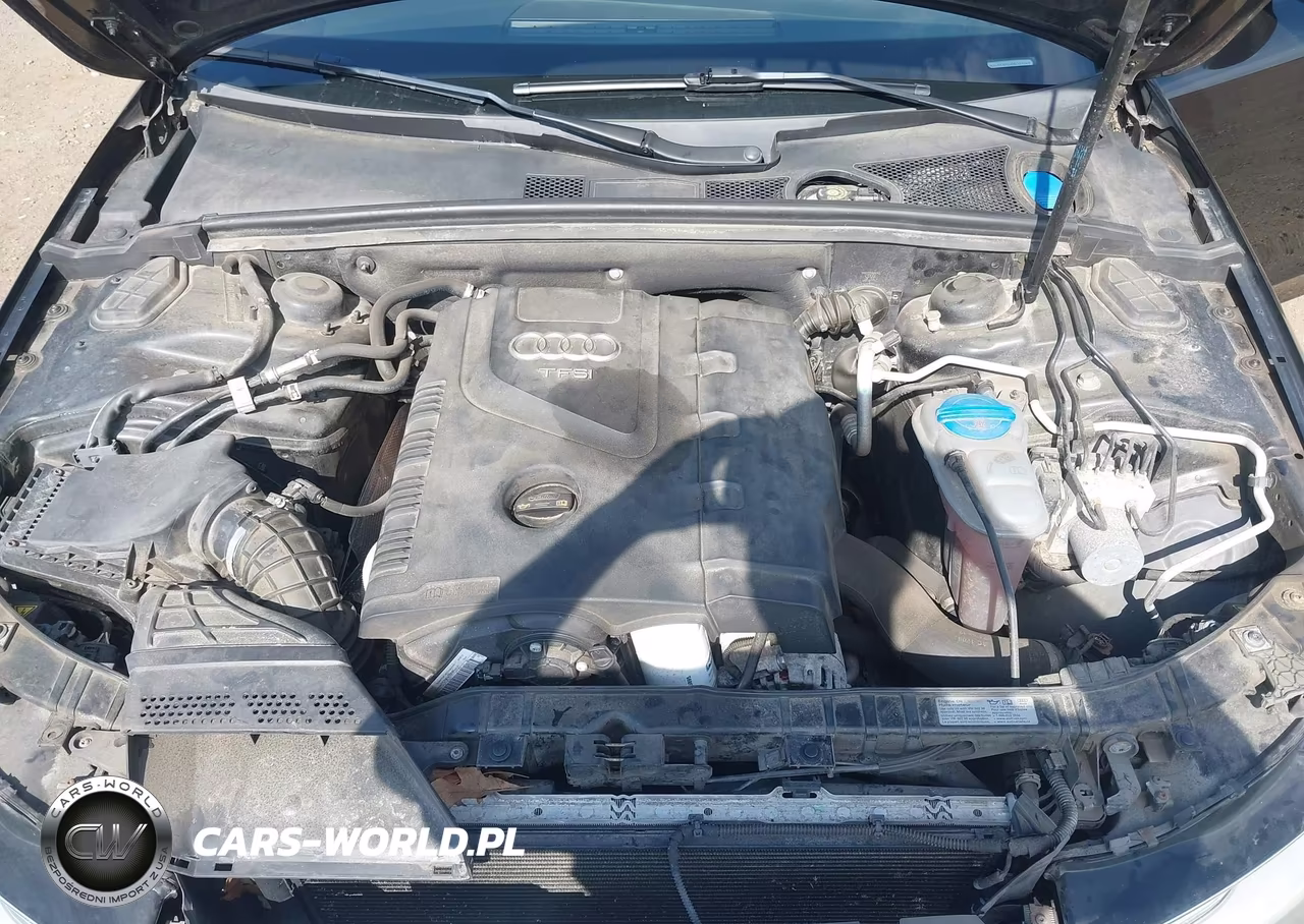 2013 Audi A4 2.0T Premium VIN:WAUFFAFL0DN007049 - 10