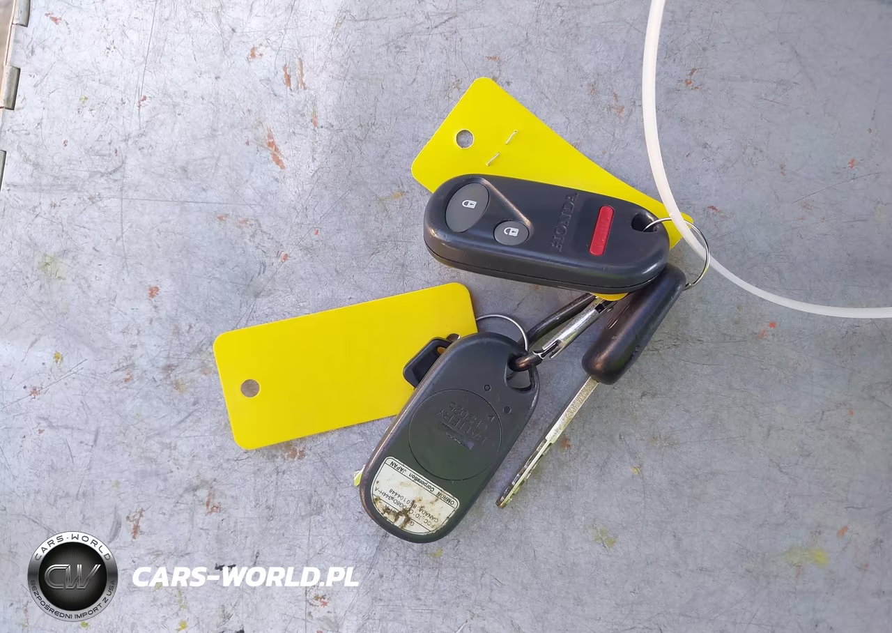 2008 Honda Element Lx VIN:5J6YH28348L017300 - 10
