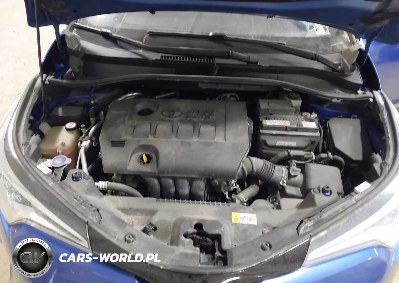 2019 Toyota C-Hr Xle VIN:NMTKHMBX1KR076845 - 10