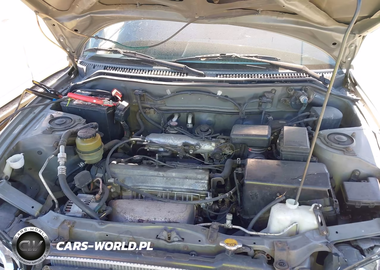 1999 Toyota Rav4 VIN:JT3HP10VXX7110186 - 10