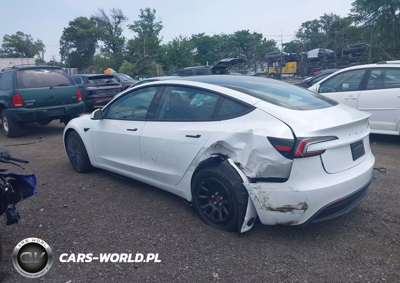 2025 Tesla Model 3 Long Range Rear-Wheel Drive-Standard Rear-Wheel Drive VIN:5YJ3E1EA8SF139285 - 3