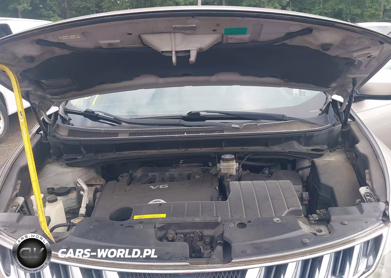 2009 Nissan Murano Le VIN:JN8AZ18W49W102330 - 10